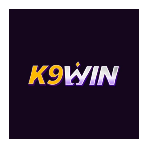 K9win logosu