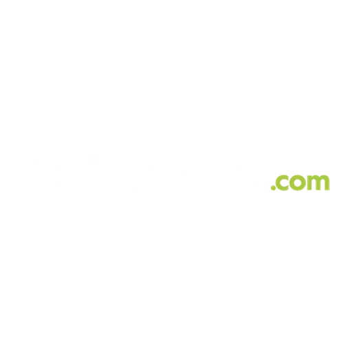 Bahisoyna logosu