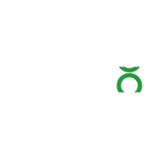 Bahiso logosu